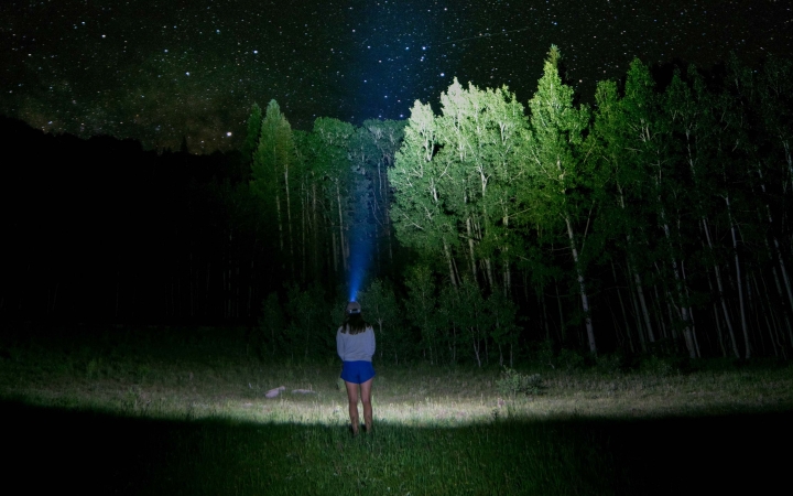 a person wearing a headlamp looks up, illuminating the green trees and night sky before them.